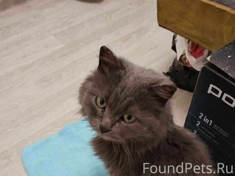 СРОЧНО! г. Уфа 11 февраля 2026...