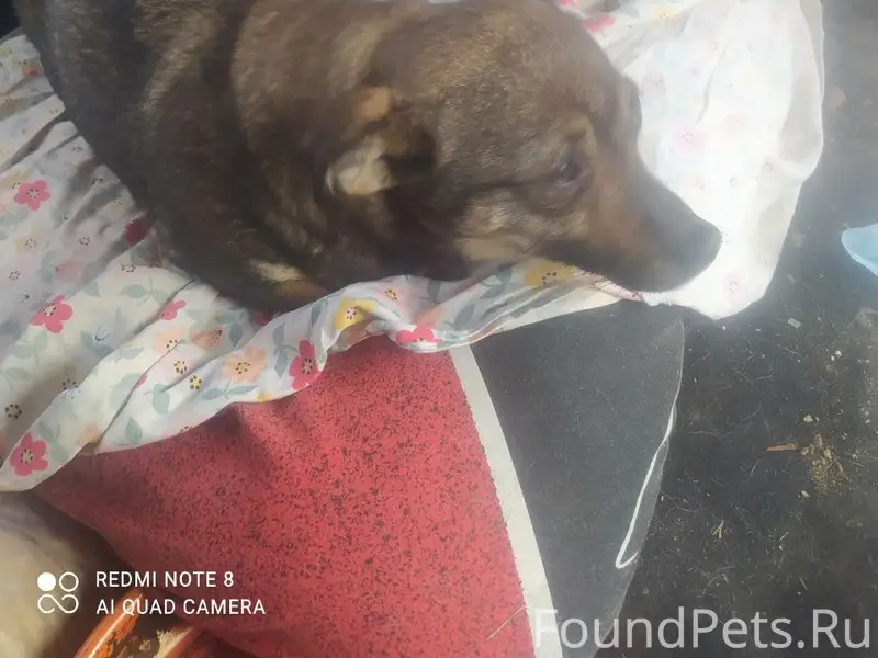 🆘🆘🆘В коробке выбросили ооочень...