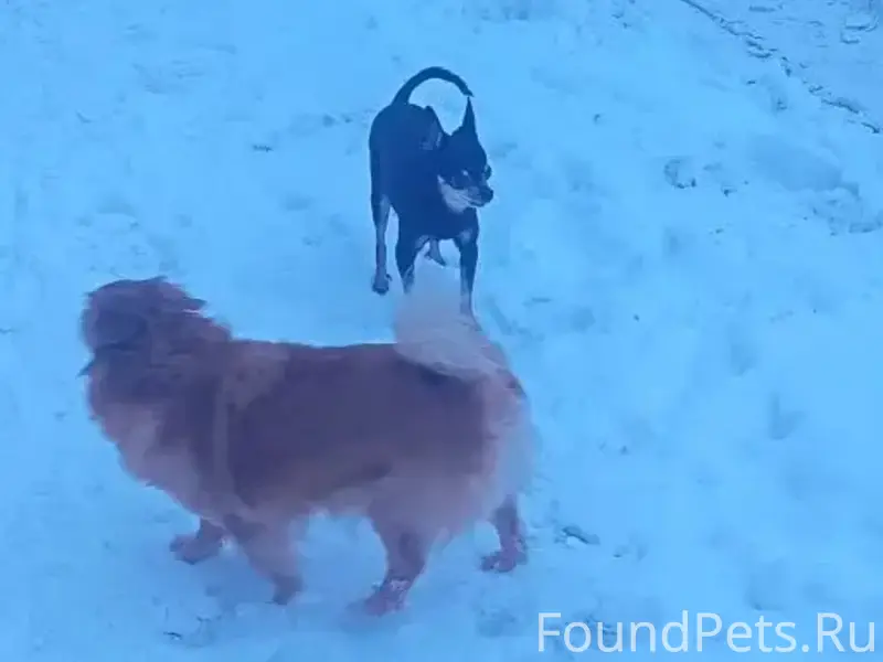 Добрый вечер, на улице Ленингр...