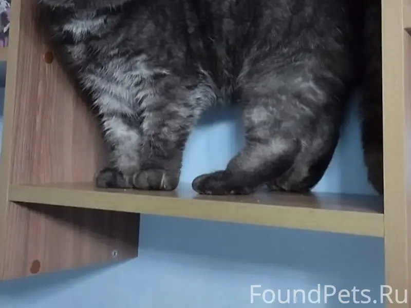 МО, г.Талдом, мкр.Юбилейный В....