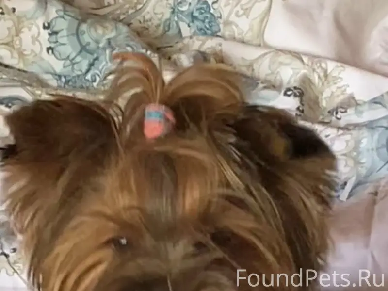 5 февраля в районе деревни Бак...