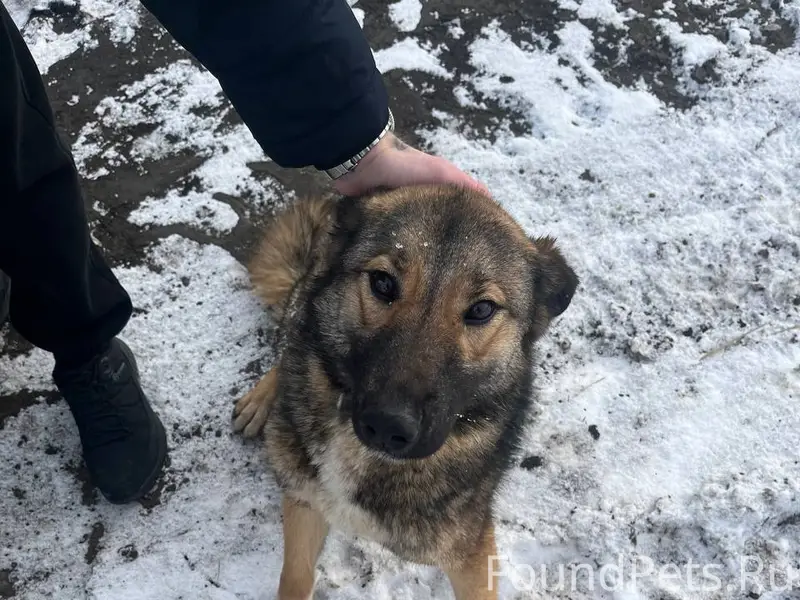 На сланцевском ж/д переезде вт...