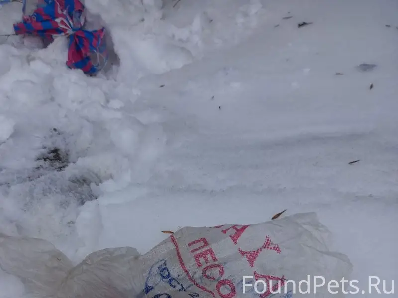 Сегодня около 10:00 на останов...