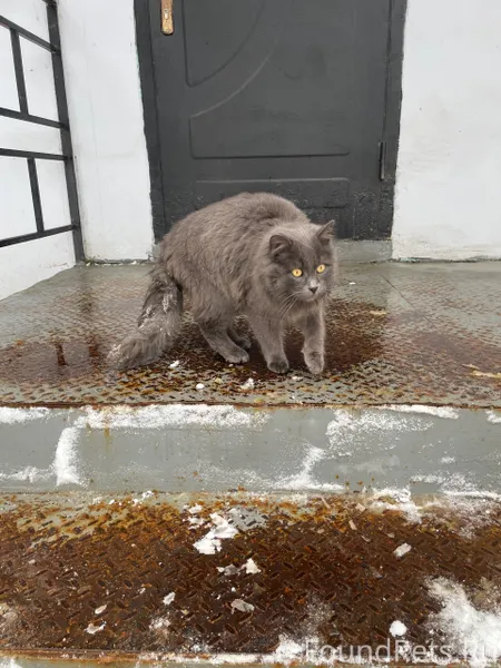 ❗️г. Александров. К магазину в...