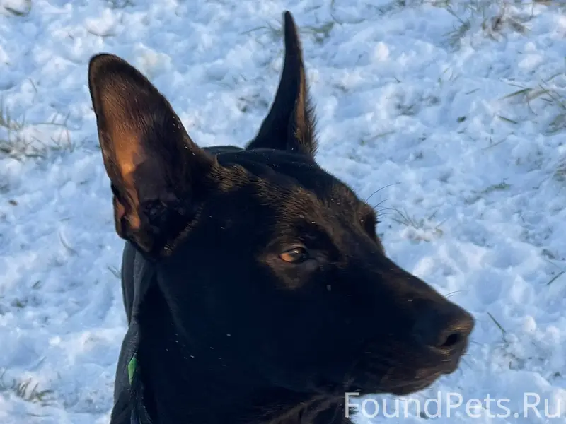 Апатиты, ул.Ферсмана‼️ВНИМАНИЕ...