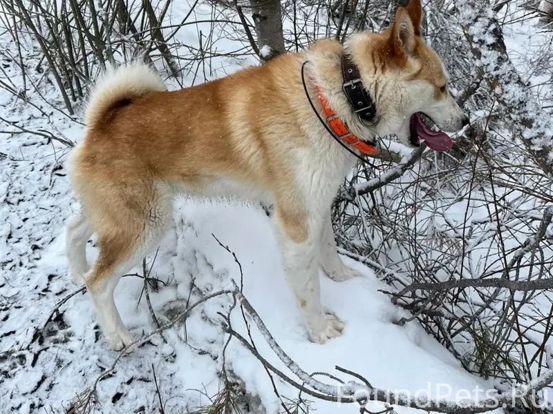 ПОИСК https://vk.ru/polina_buz...