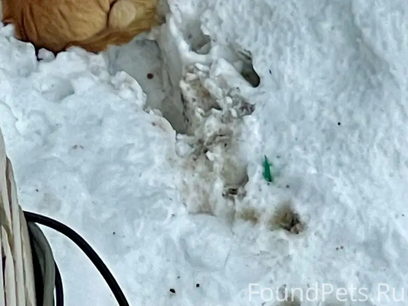 Помогаю информационно Найден п...