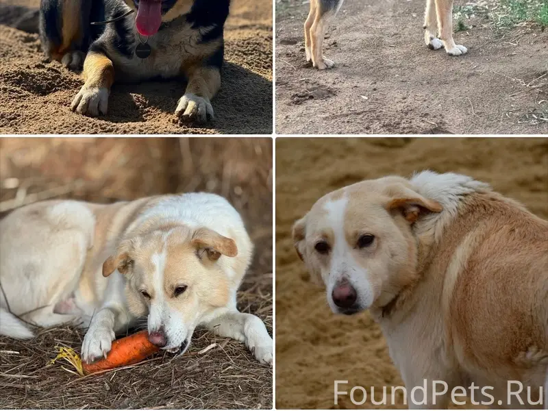 Внимание ❗️❗️❗️❗️ у нас снова ...