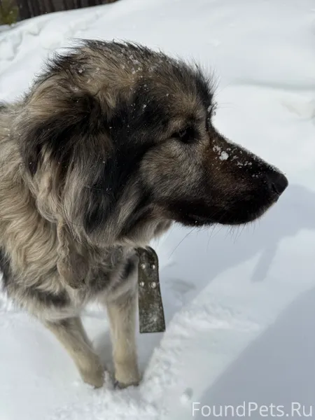 Улан-Удэ Добрый день. Сегодня ...