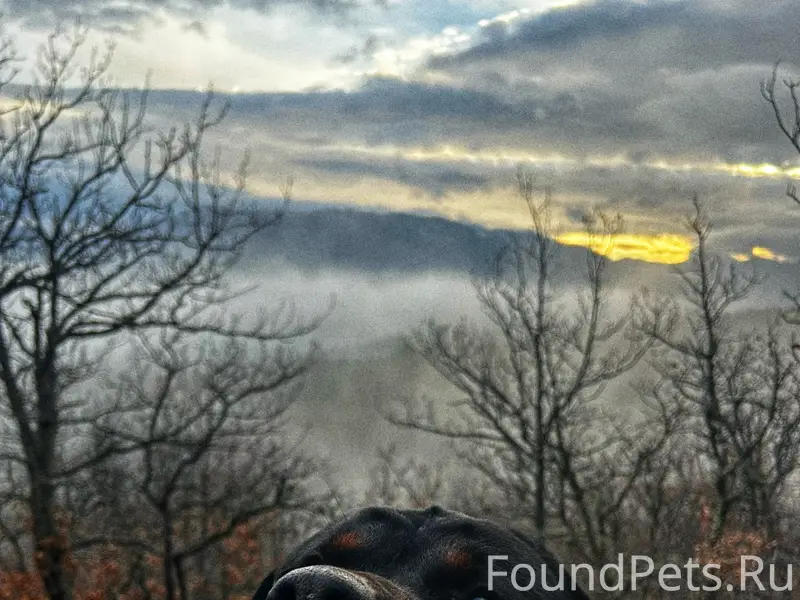 Здравствуйте. Вчера вечером ок...