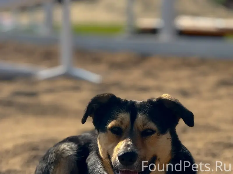 Внимание ❗️❗️❗️❗️ у нас снова ...