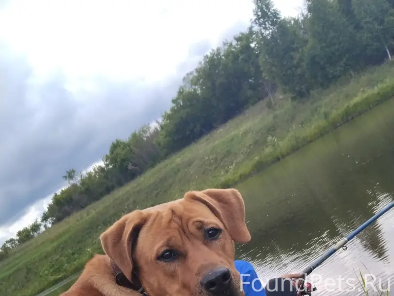 Здравствуйте помогите пожалуйс...