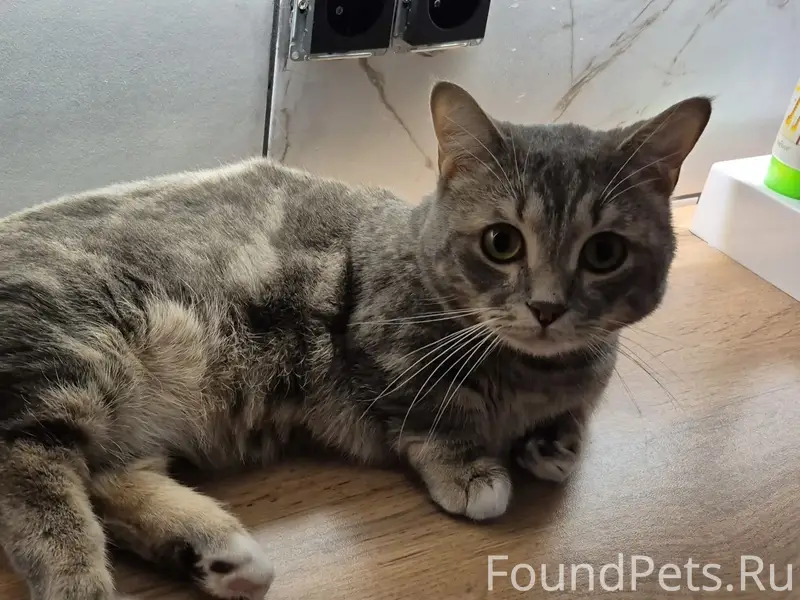 Здравствуйте. Я обращаюсь к жи...