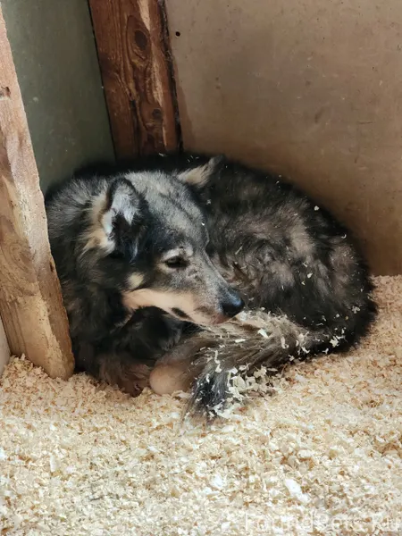 🤔Не знаю, читают ли мои объявл...