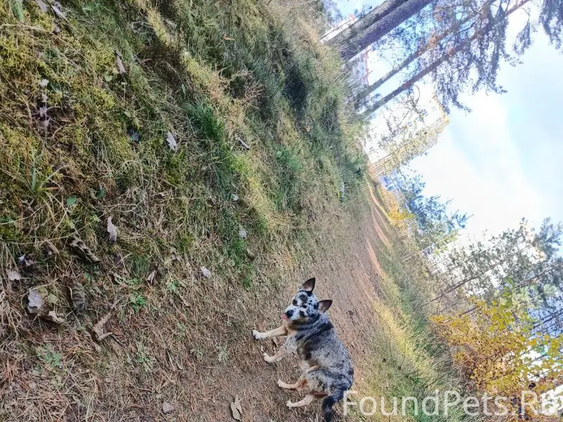 ‼️‼️Помогите Найти‼️‼️Вчера в ...