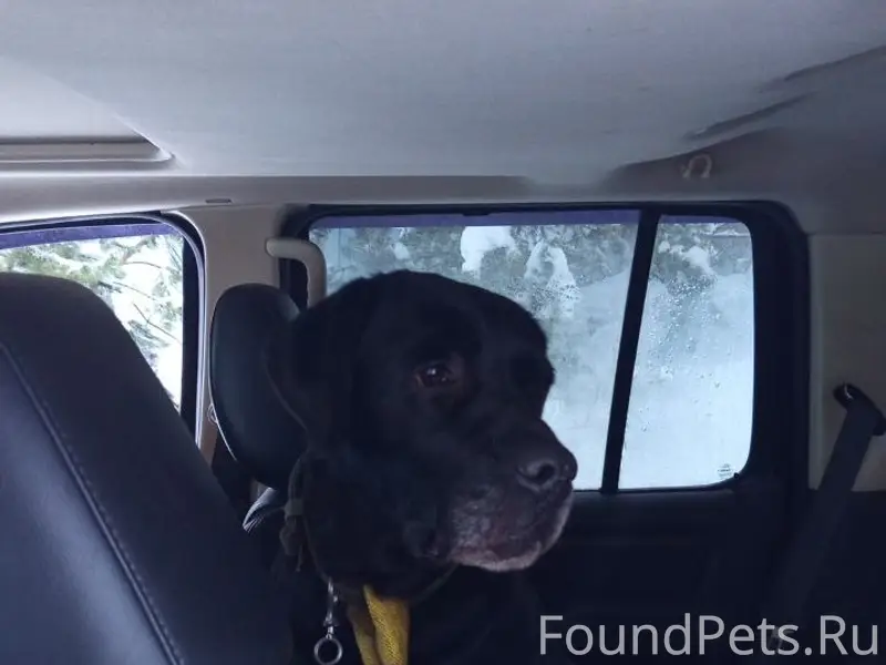 ❗️Сергиев Посад. В районе улиц...