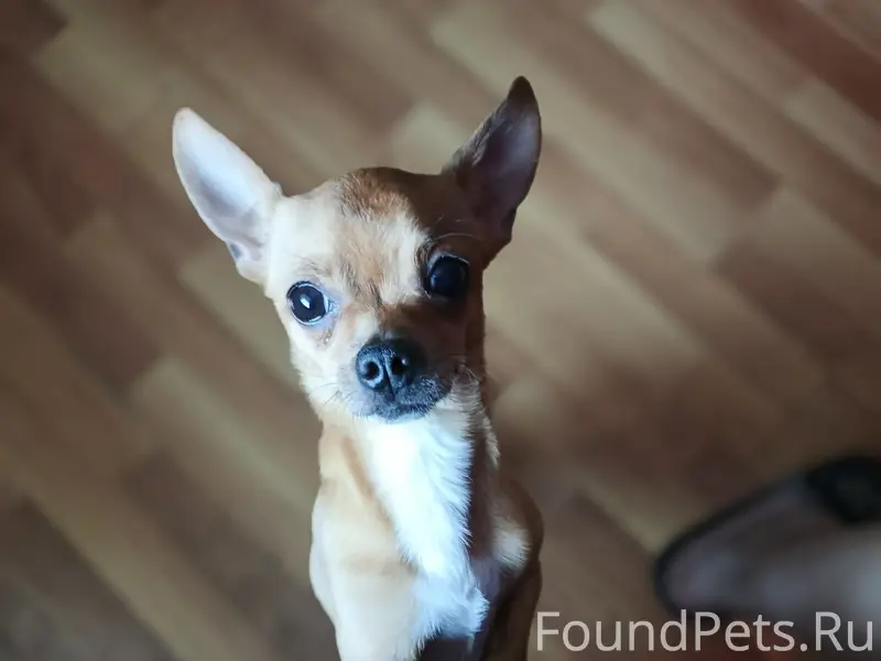 Всем внимание,13 февраля на 15...