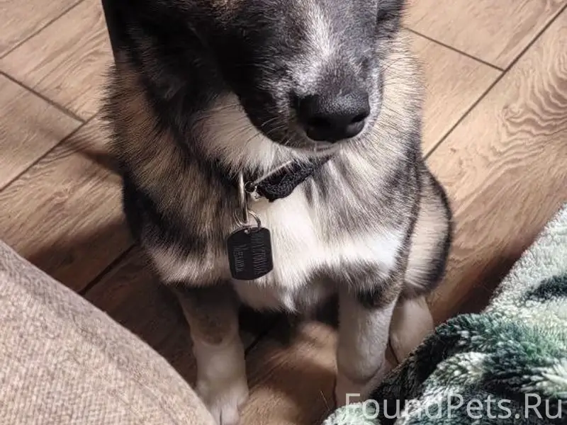 Мурманск и область. ✅Розыск со...