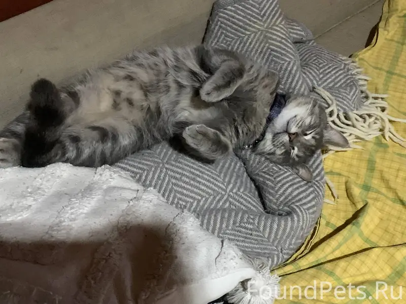 Здравствуйте. Новороссийск. Пр...