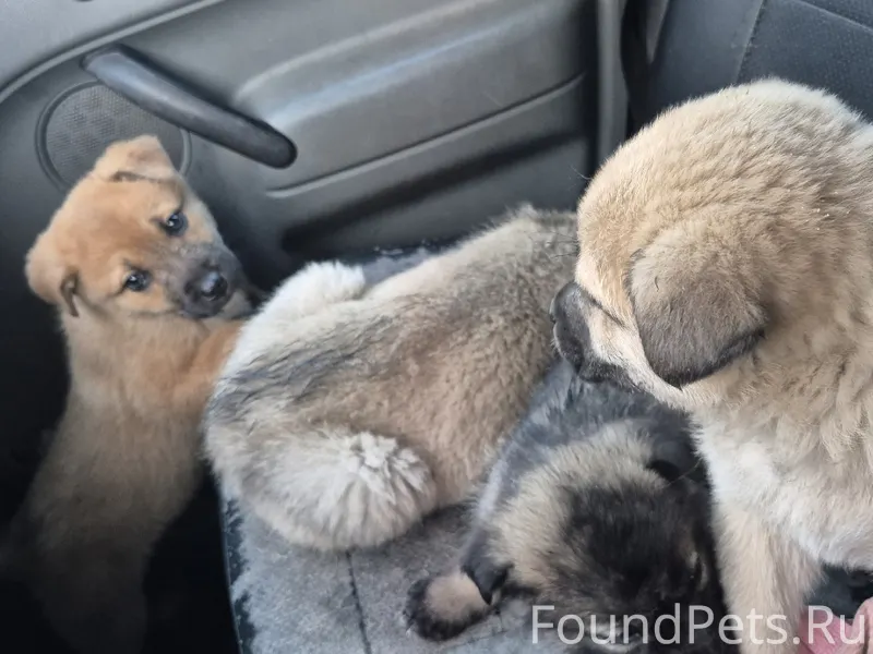 Возвращаюсь я домой, к своим 5...