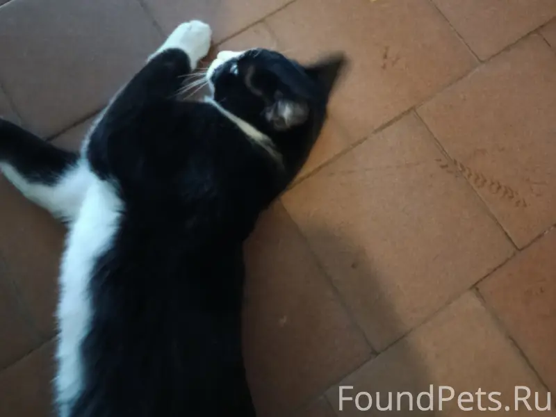 В подъезде по пр.Ленина-11...