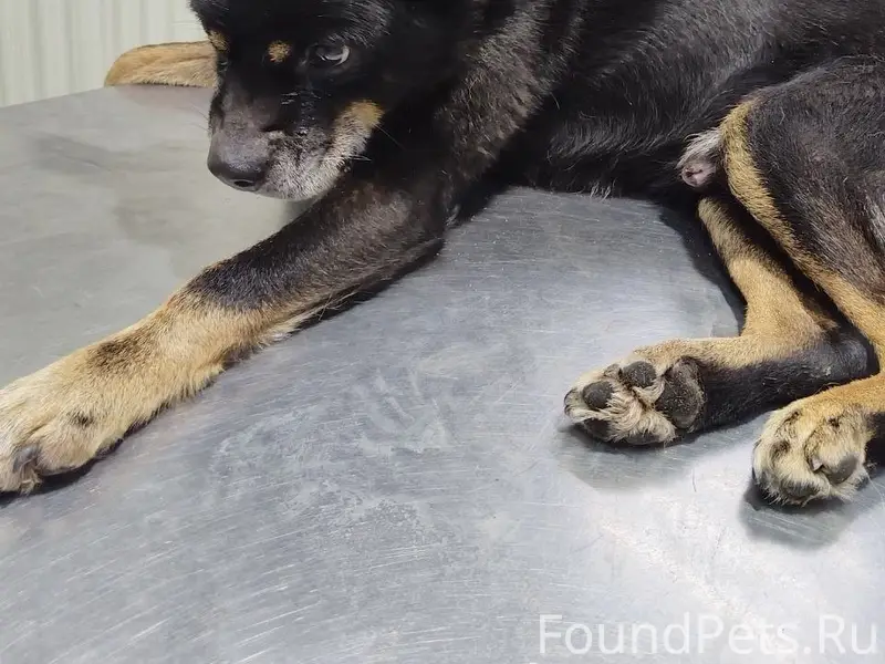 ️⛔️⛔️⛔️ВАЖНА ПОМОЩЬ.НЕ ПРОХОДИ...