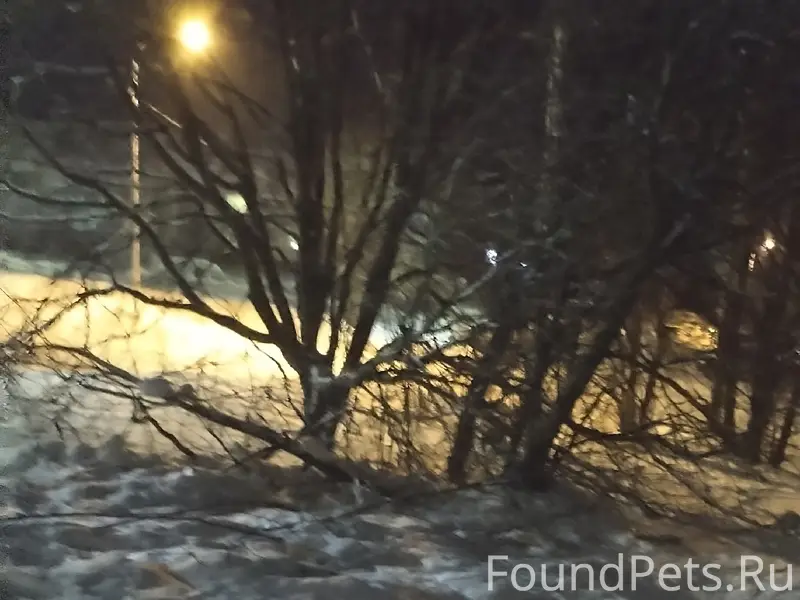 Ребята, SOS! Чей? Сегежская 3А...