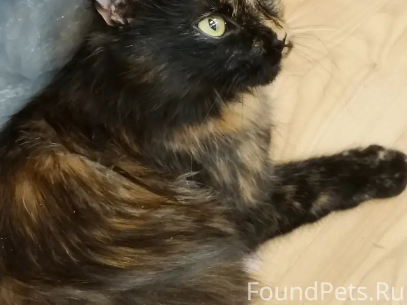 Друзья! Как обычно... Сос 🙈 На...