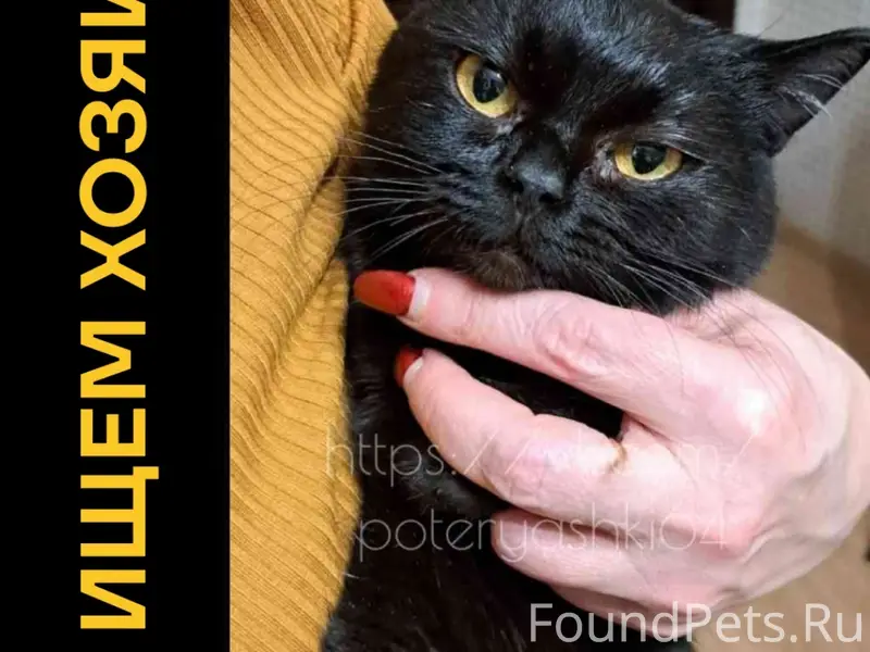 Саратов, Октябрьский район, 2-...