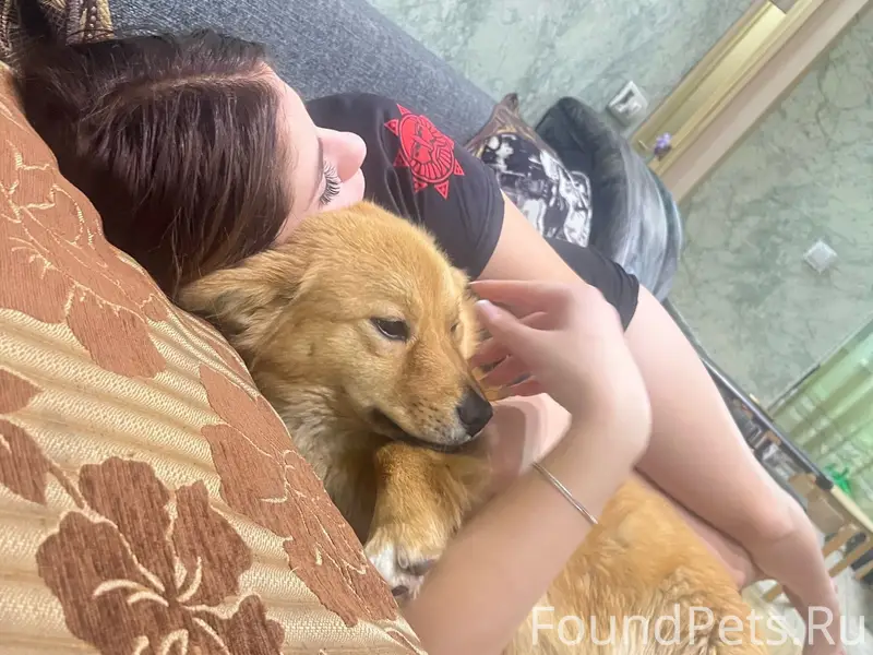 #Ищу #Найдись #Новошахтинск В ...