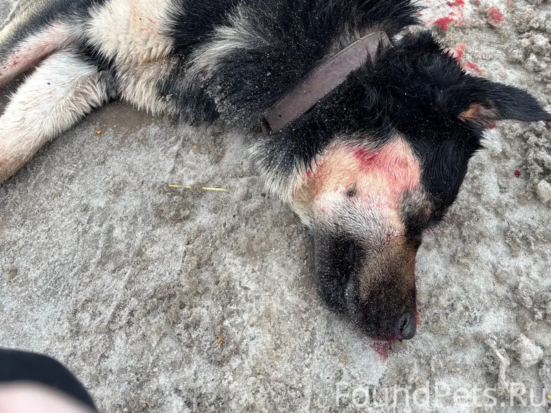 Здравствуйте, может кто то узн...