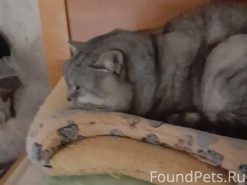 Уже больше двух недель я ищу.....