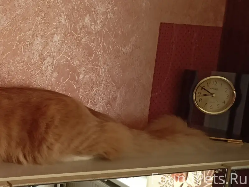 Добрый день. Будем признательн...