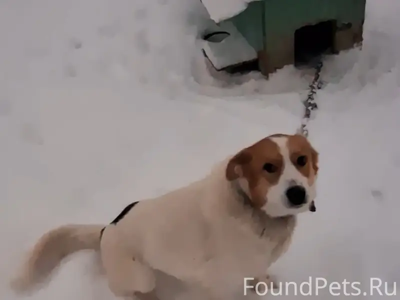 Вчера в Высоковске на Блинной ...