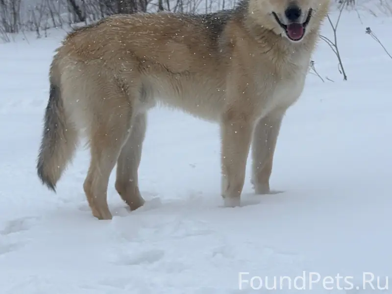Переулок коммунаров ! Потерянн...