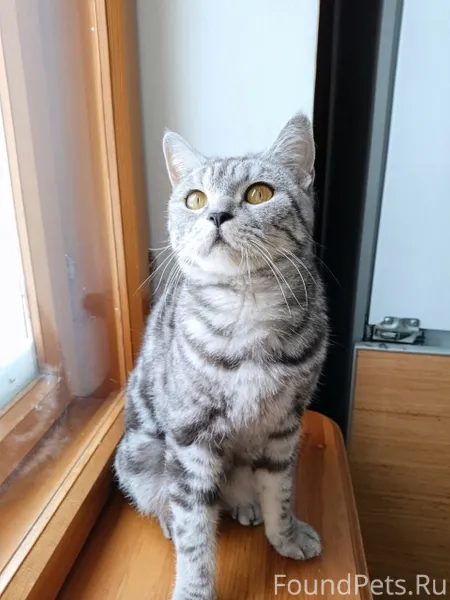 Около республиканской больницы...