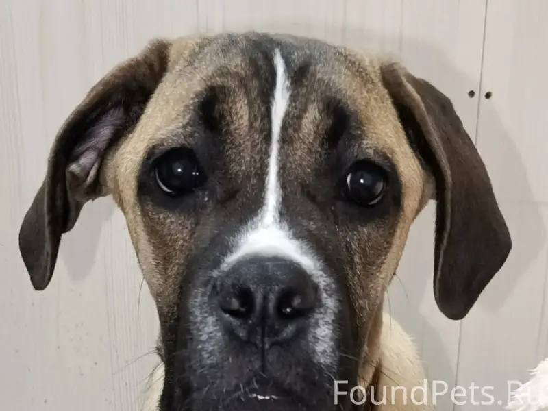 П.г.т. Анна, Воронежская облас...