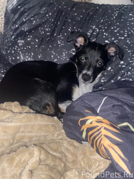 Поиски продолжаются. 09.01 про...