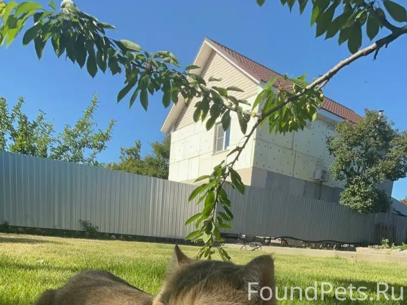 На О. Зеленый в районе пятероч...