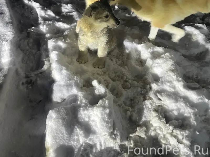 13 февраля, вечером на поворот...