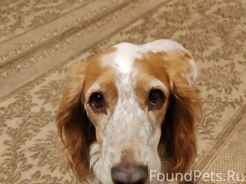 Просьба распространить! 14 фев...