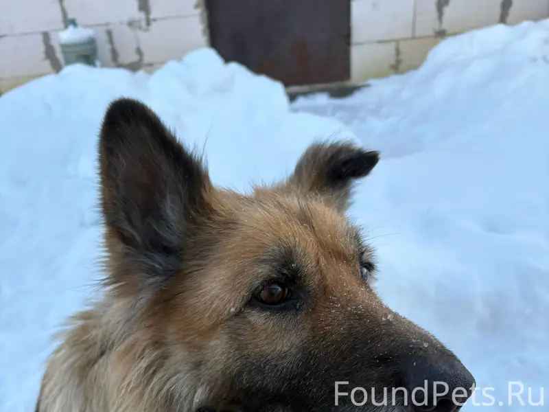 Здравствуйте! вчера днем в рай...