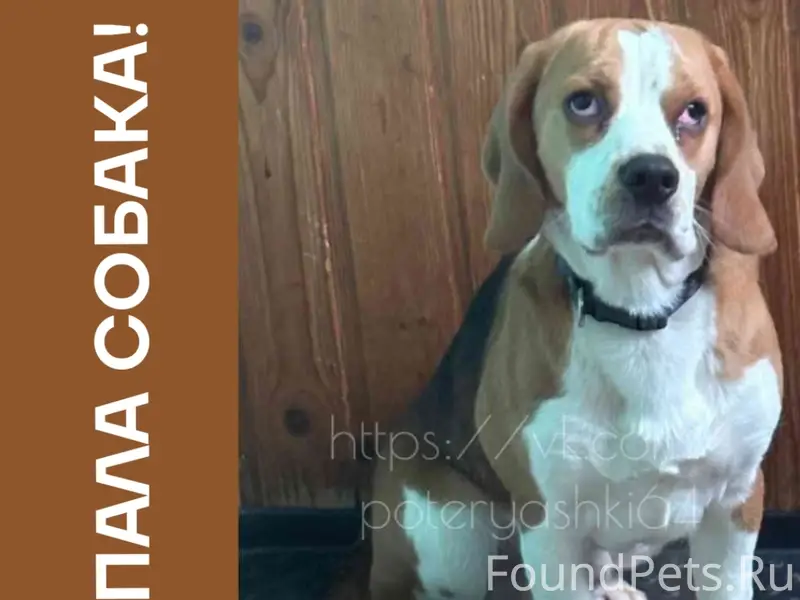 Саратов, Комсомольский поселок...