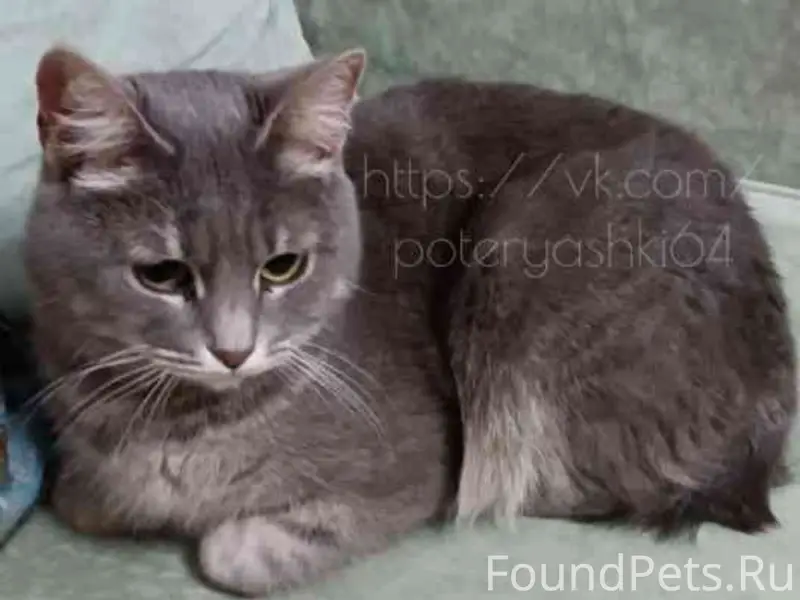 Саратов, район 77 школы. Найде...