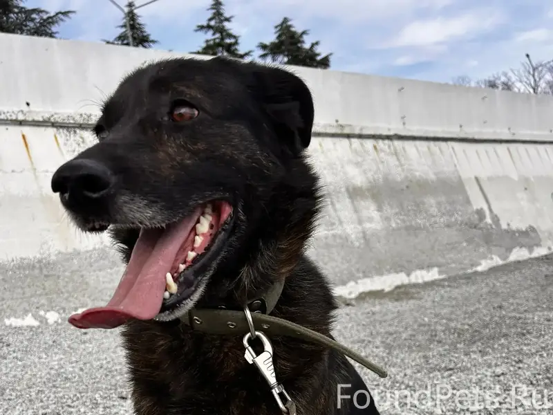 СЕВАСТОПОЛЬ! ПАРК ПОБЕДЫ и ряд...