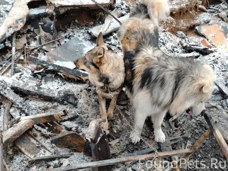 На месте взрыва: найдены две с...