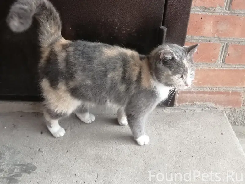 Чья подружка потерялась? Молод...