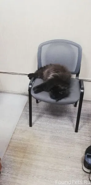 Ей некуда идти🙏 девочка ищет Д...