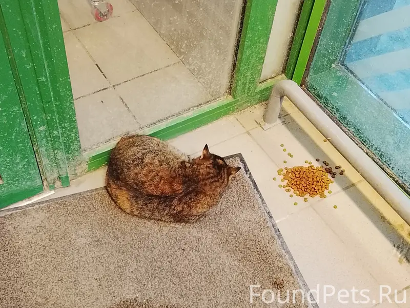 Здравствуйте. В Краснооктябрьс...