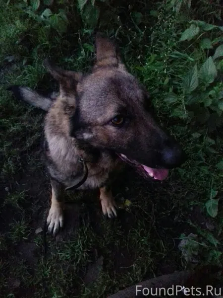 SOS! РЕПОСТ!!!!КРАСНОКАМСК! МЫ...